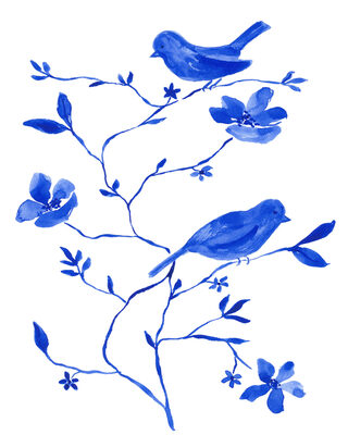 Image Not Available
